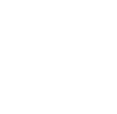 Icon16